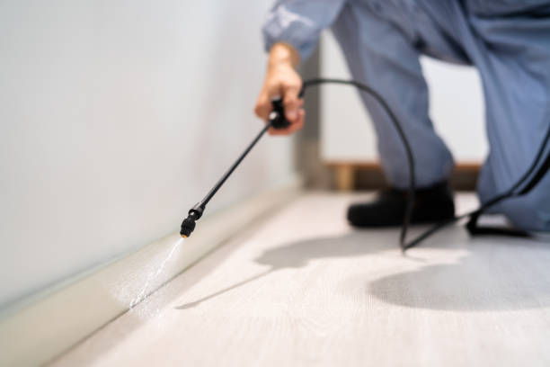 Licensed Termite Control service in Cullman County County, AL - Nex Pest Control