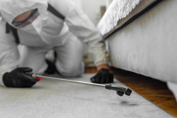 Professional Termite Control technician working in Cullman County County, AL